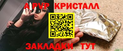 стаф Белореченск