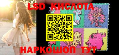 стаф Белореченск