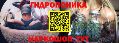 mdpv Бердск