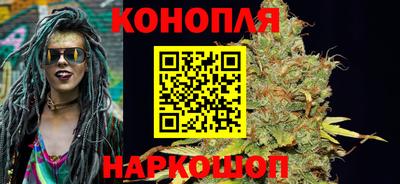 стаф Белореченск
