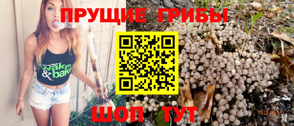 Галлюциногенные грибы MAGIC MUSHROOMS  Вход с VPN  Выкса 